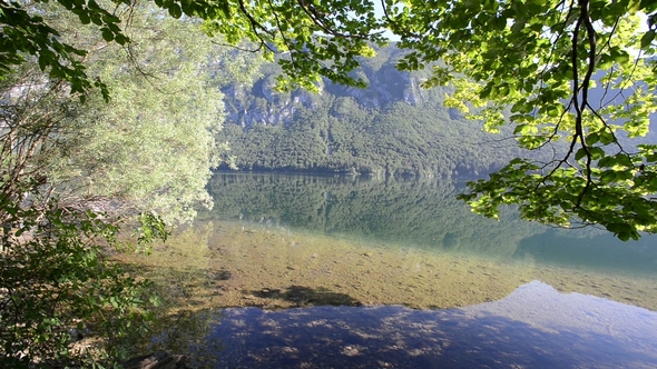 Amazing Bohinj Lake in the Morning