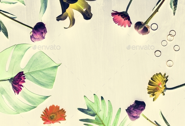 Tropical flowers and leaves design space - Stock Photo - Images