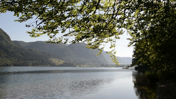 Amazing Bohinj Lake in the Morning. Deep Clear Water with Fish and Gorgeous Landscape of Bohinj