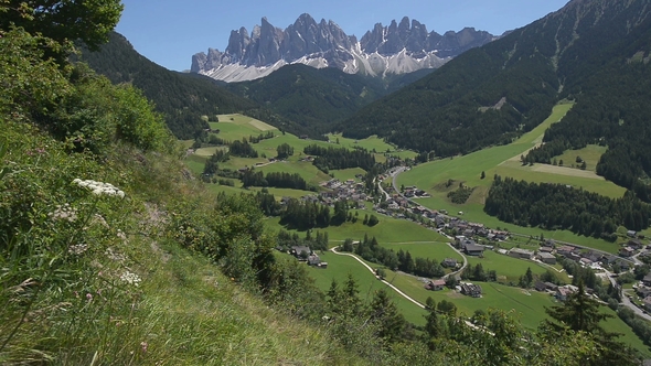 Sass Ciampac Ciampatsch with a Foreground of Globeflower Wildflowers Trollius