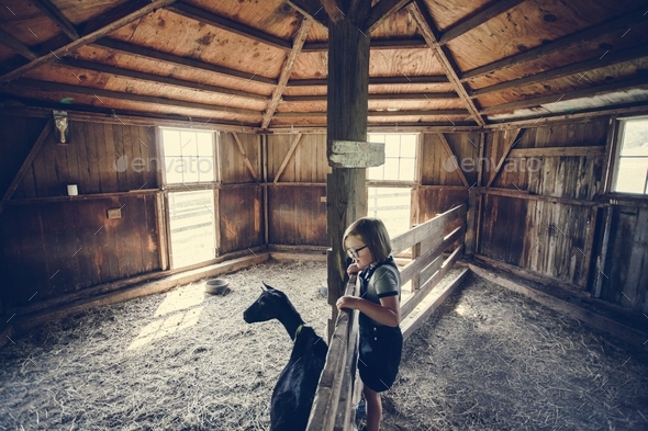 Little girl playing with a goat - Stock Photo - Images