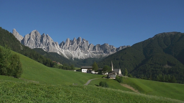 Panning View of Sass Ciampac Ciampatsch with a Foreground of Globeflower Wildflowers Trollius
