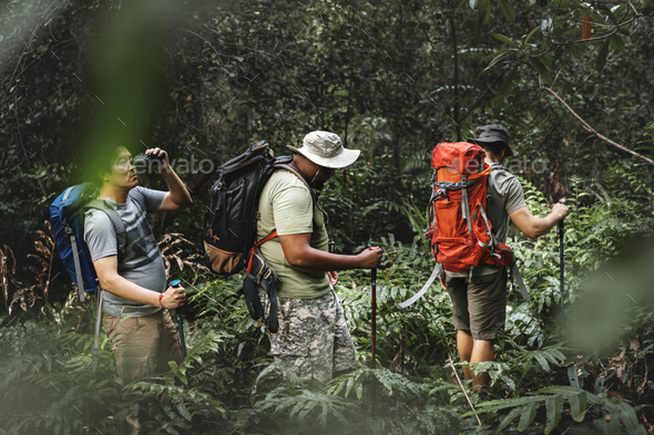 Group of diverse men trekking in the forest together Stock Photo by Rawpixel