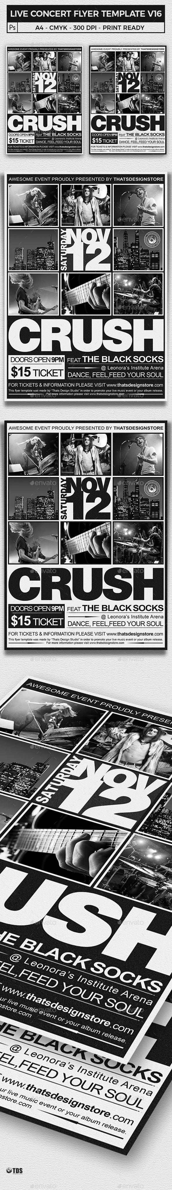 Live Concert Flyer Template V16 - Concerts Events