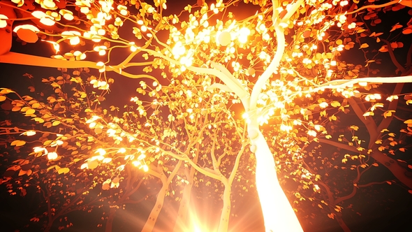 Gold Light Trees