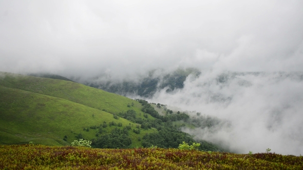 Low Clouds Over Green Mountain, Ukraine Carpathians