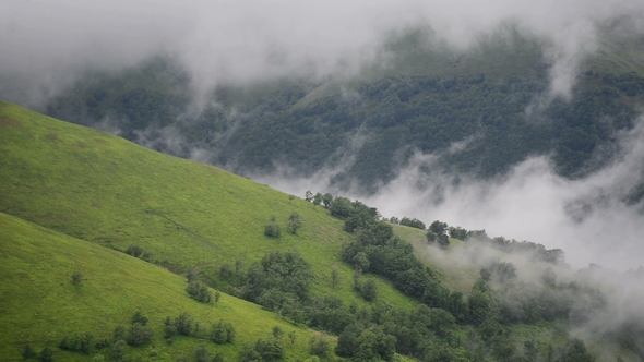 Low Clouds over Green Mountain in Ukrainian Carpathians