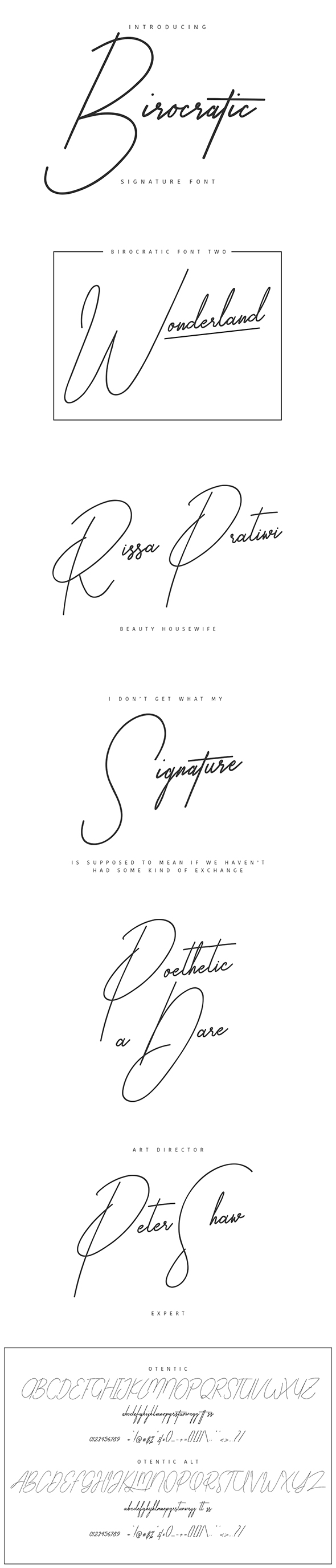 Birocratic Signature Typeface - Calligraphy Script