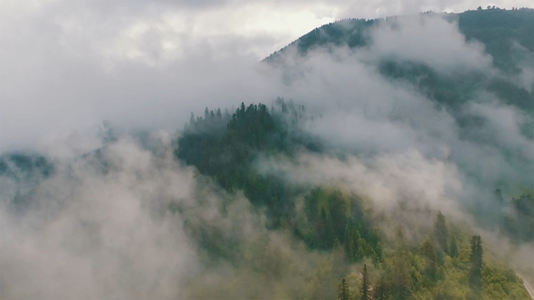 Svaneti - Fogy Forest Georgia Aerial View alt