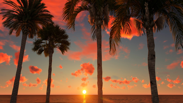 RÃ©sultat de recherche d'images pour "tropical sun rise"