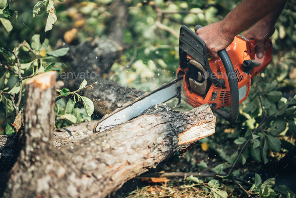 Chainsaw in action cutting fire wood. Man cutting wood with professinal chainsaw Stock Photo by stockcentral