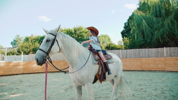 Young Happy Girl Sits on a Pretty White Horse on the Area alt