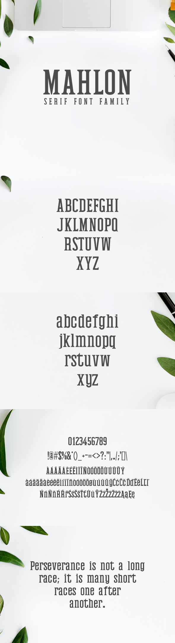 Mahlon Serif 3 Font Family Pack - Serif Fonts