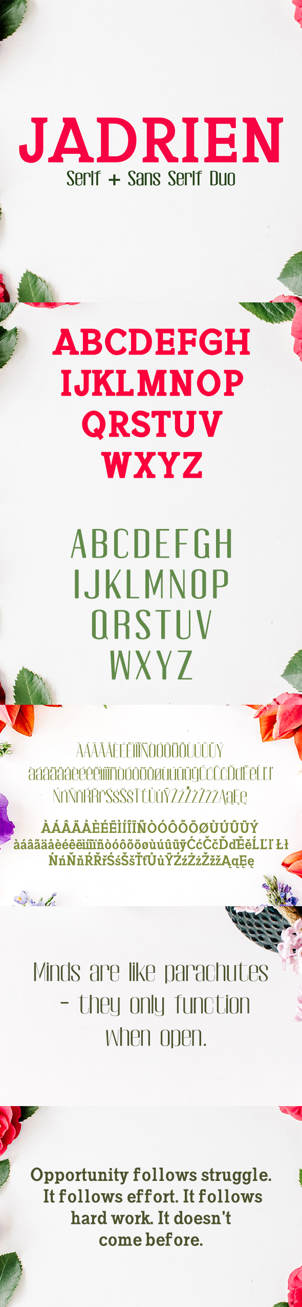 Jadrien Serif + Sans Duo 5 Font Pack - Sans-Serif Fonts