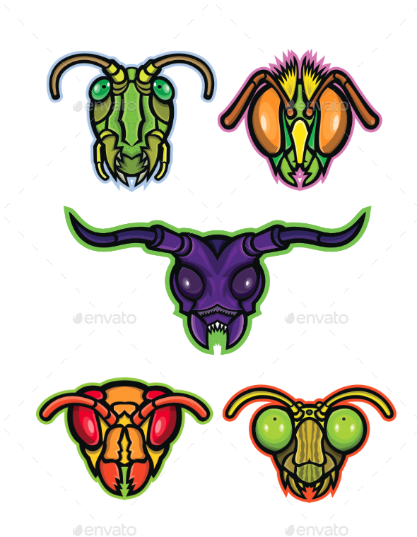 Insects Mascot Collection - Animals Characters
