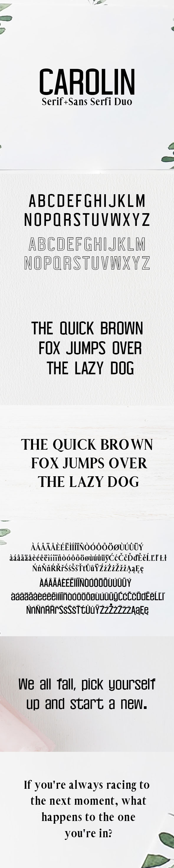 Carolin Duo 5 Font Family Pack - Serif Fonts