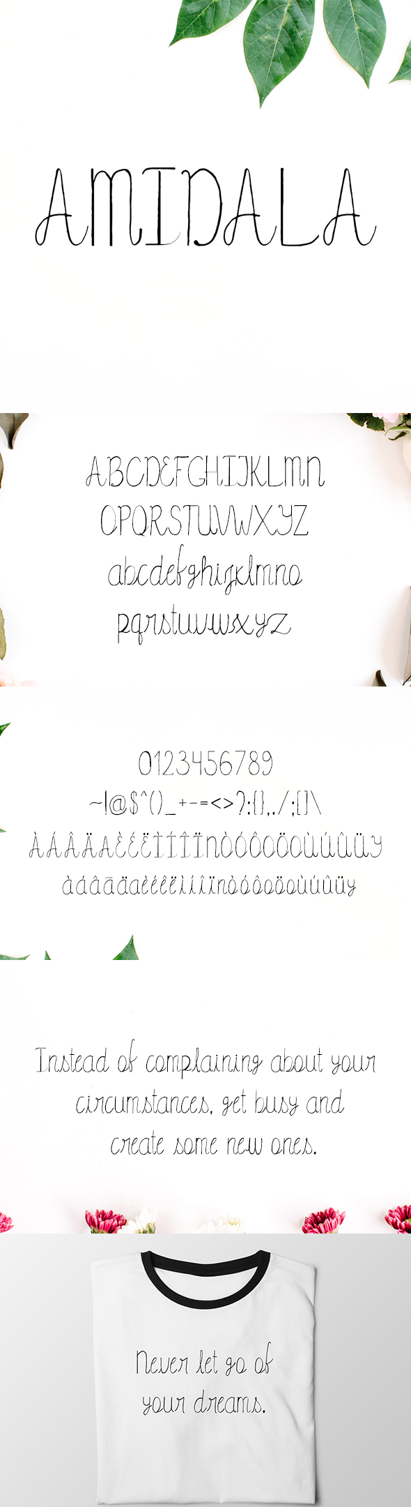 Amidala Script Font - Hand-writing Script