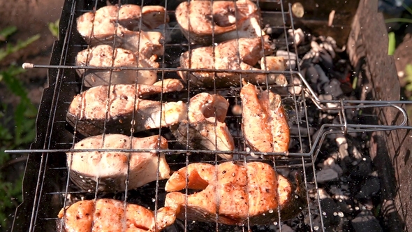 Preparation of Fish Red in the Open Air on the Grill in the Grate, Drops of Beer Falling in  on Th alt