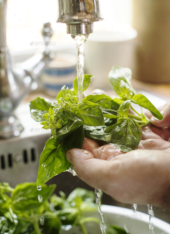 A person washing basil under running water food photography recipe