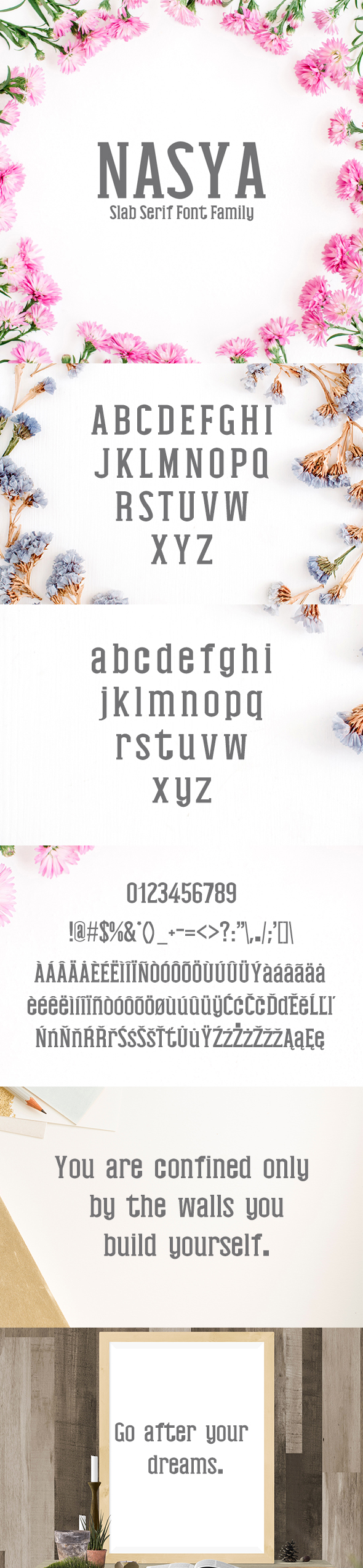 Nasya Slab Serif 4 Font Family Pack - Fonts