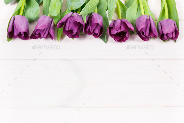 Bouquet of purple tulips for different occasions, copy space for text on white boards Stock Photo by ratmaner