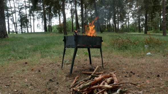 Brazier Barbecue Grill in Forest