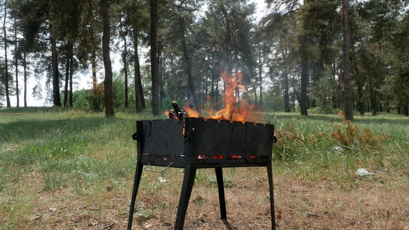 Brazier Barbecue Grill in Forest