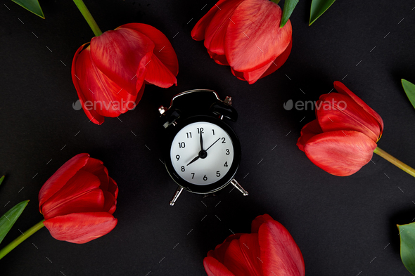 Black alarm clock near bouquet red tulips - Stock Photo - Images