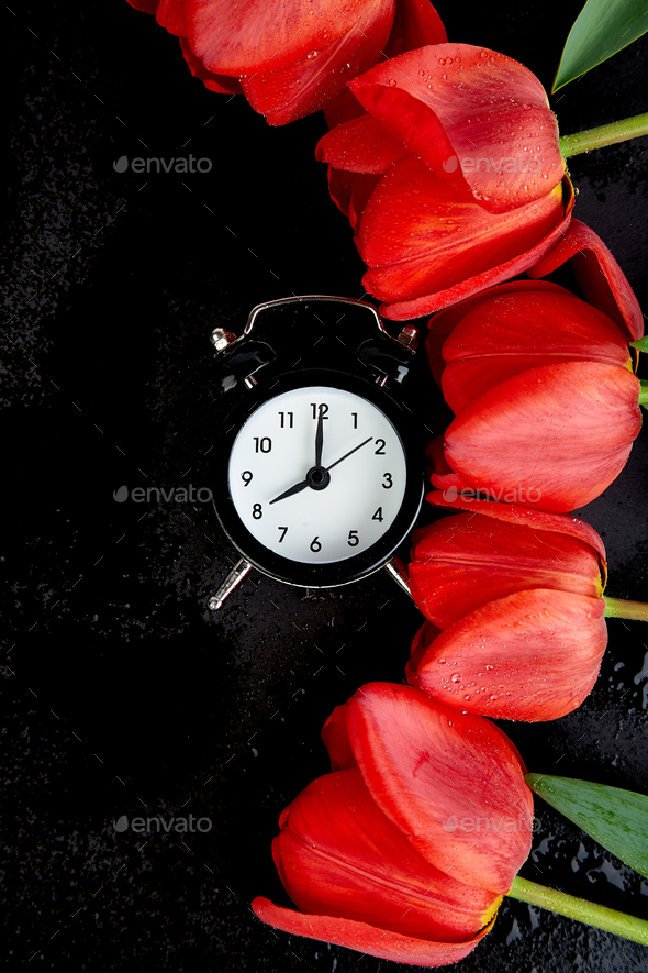 Black alarm clock near bouquet red tulips - Stock Photo - Images