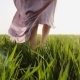 Woman in Pink Dress Walks Barefoot on Grass - VideoHive Item for Sale