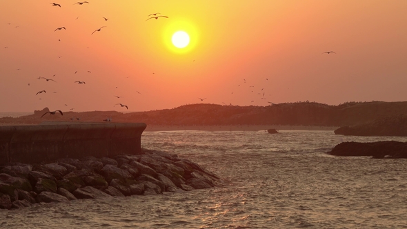 Sunset Sky with Flying Seagulls in Essaouira alt