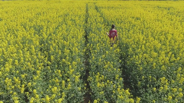 Pretty Young Girl Walks and Turns Around in the Rape Field