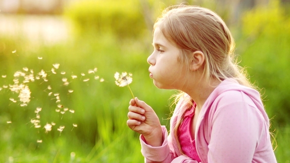 A Teenage Girl with Long Blond Hair Is Blowing a Dandelion. Spring Glade