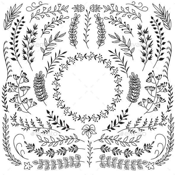 Hand Drawn Branches with Leaves. Decorative Floral - Web Elements Vectors