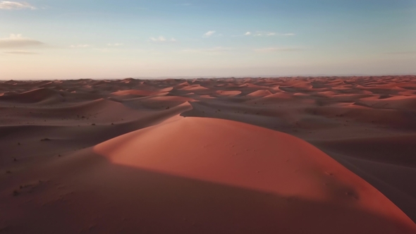 Sand Dunes and and Flying Crows in Sahara Desert alt