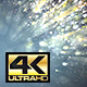 Light Silver Particles Background 4K - VideoHive Item for Sale