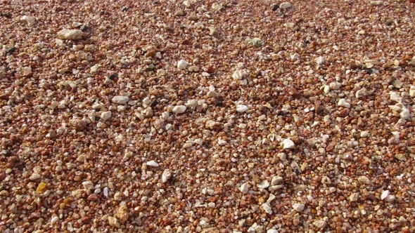 Small Marine Multicolored Stones Are Washed By Tidal Waves