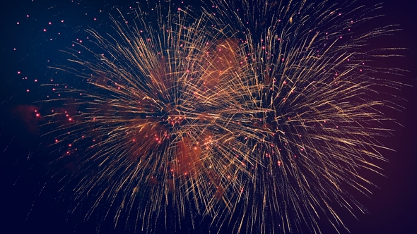 Vivid Fireworks in a Dark Sky., Stock Footage | VideoHive