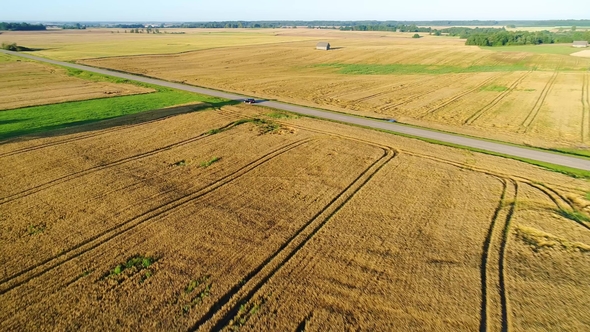 Wheat Field Aerial View