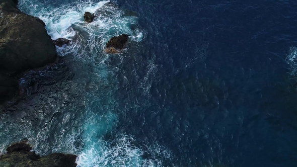 Flight Over Seashore at Tenerife