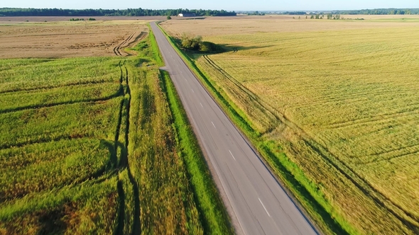 Flight Over Road in Summer Field