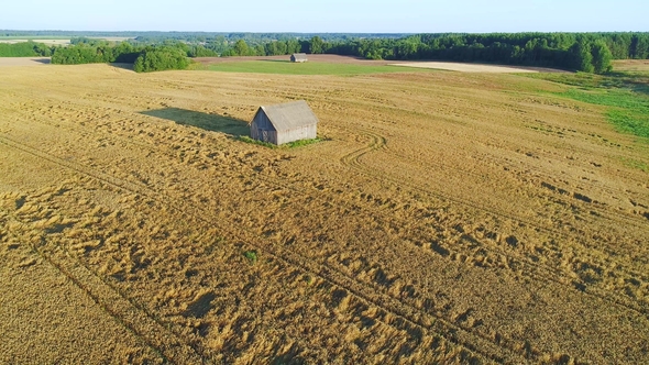 Wheat Field Aerial View