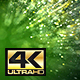 Light Green Particles Background 4k - VideoHive Item for Sale