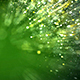 Light Green Particles Background - VideoHive Item for Sale