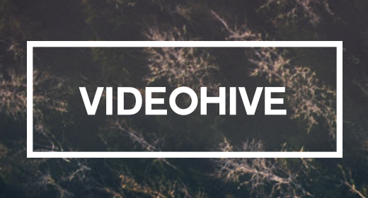 VIDEOHIVE