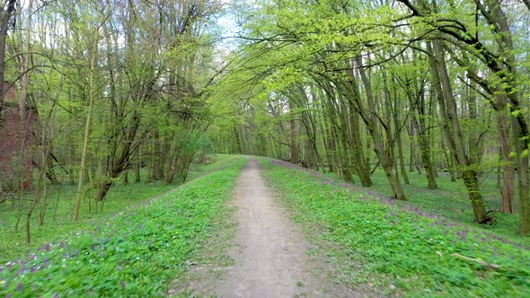 Zwierzyniec nature reserve near Olawa, Poland