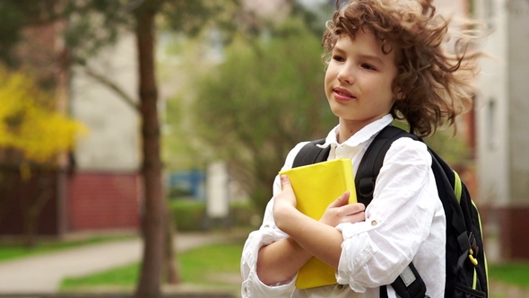 Portrait of a Schoolboy with a Book in His Hands alt