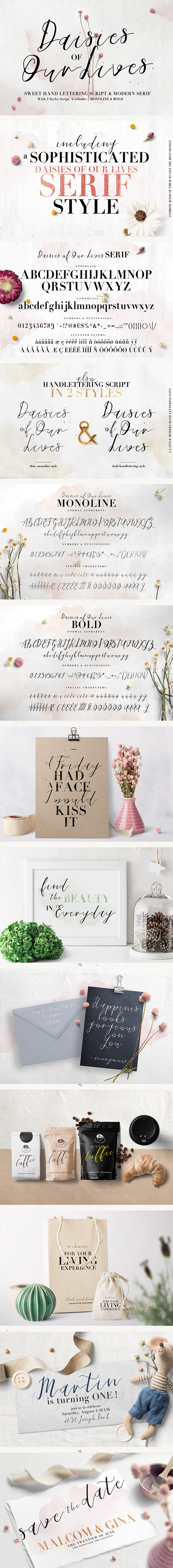 Daisies of Our Lives - Hand-writing Script