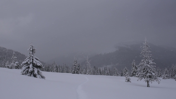 Fantastic Winter Landscape