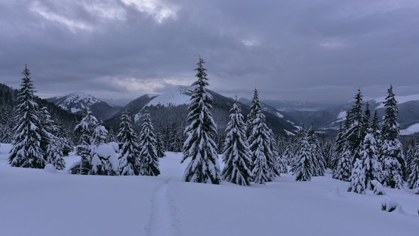 Fantastic Winter Landscape